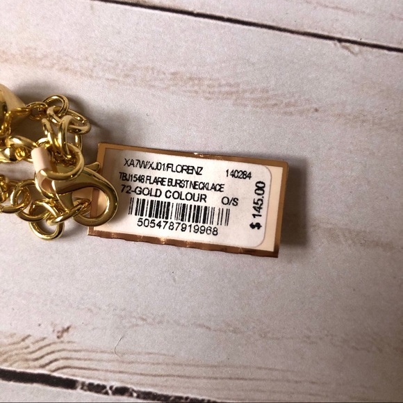 Ted Baker FLARE BURST NECKLACE NWT - Picture 8 of 8